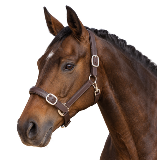 Halter - Raised Leather - Brown