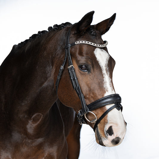 Snaffle Bridle - Halvon