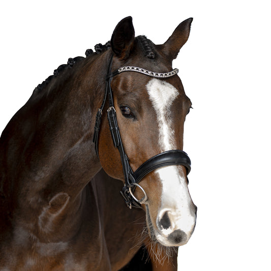 Snaffle Bridle - Halvon