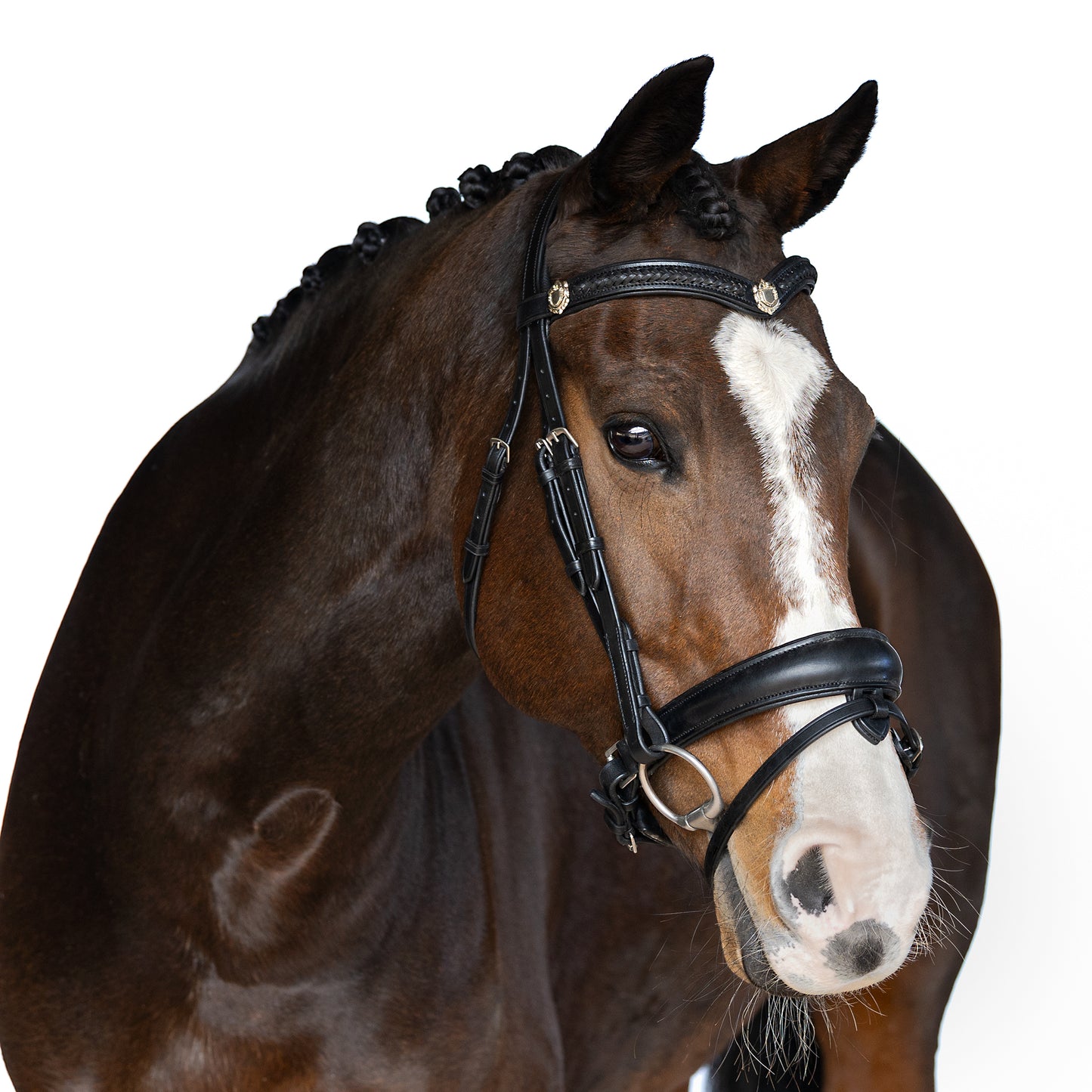 Snaffle Bridle - Cavelle