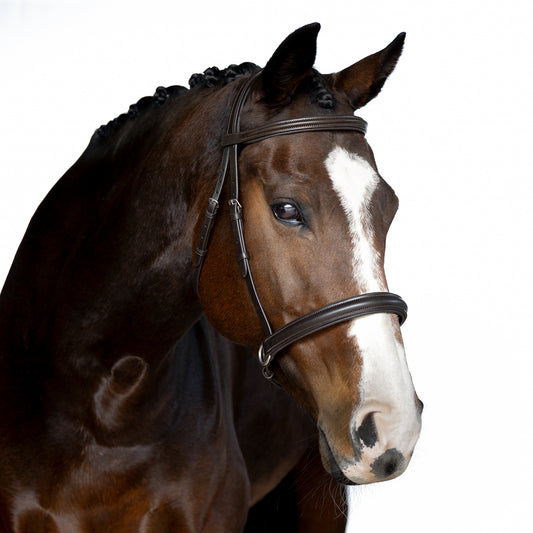 Bitless Bridle - Tressia