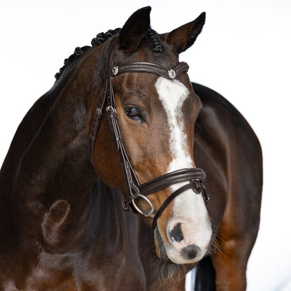 Snaffle Bridle - Elaris