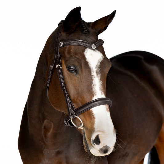 Snaffle Bridle - Elaris