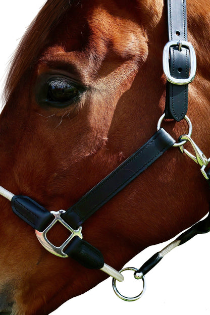 Halter - Leather and Rope - Black