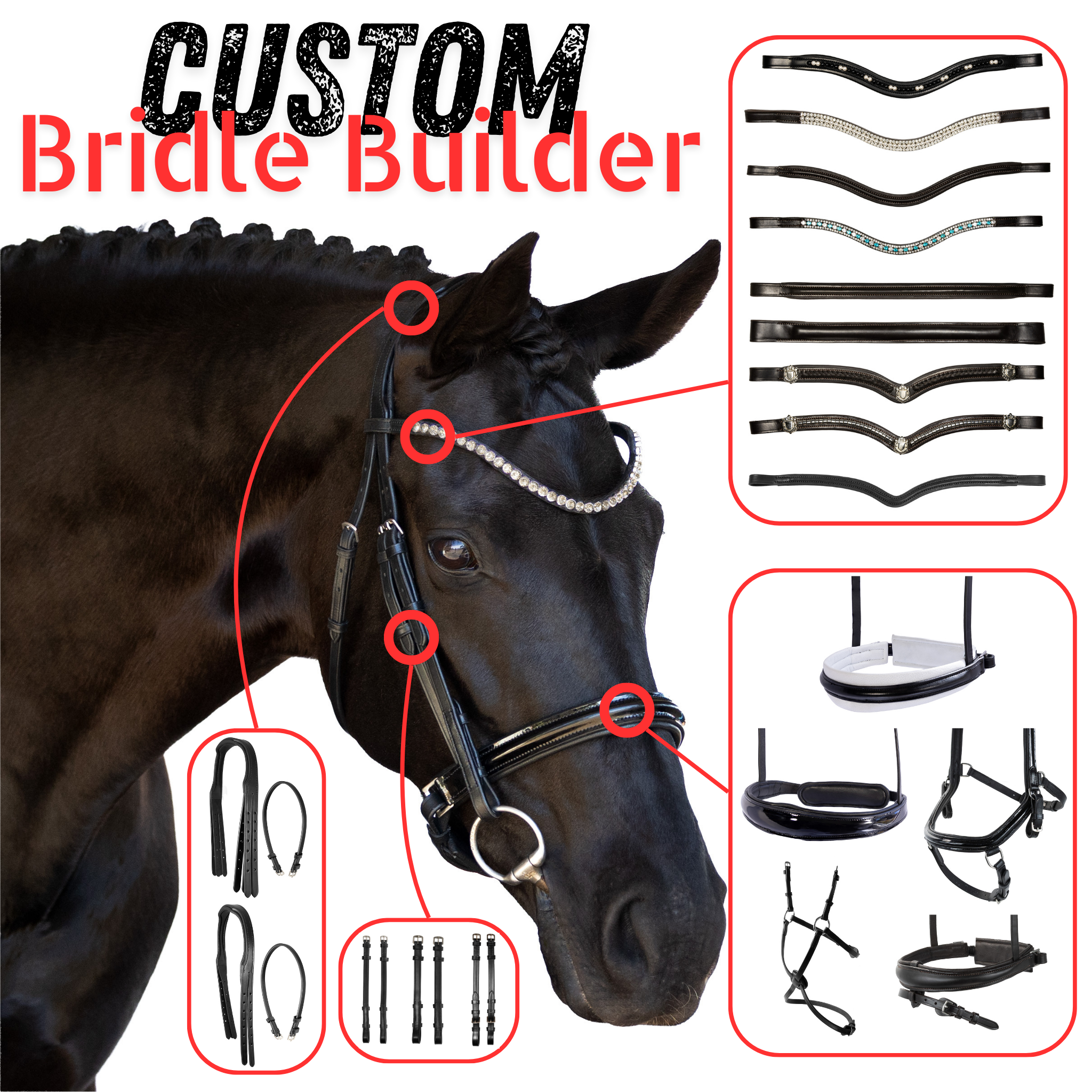 Bridle Builder – Ava Equestrian