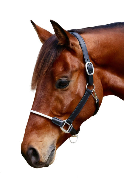 Halter - Leather and Rope - Black