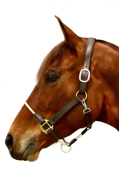 Halter - Leather and Rope - Brown