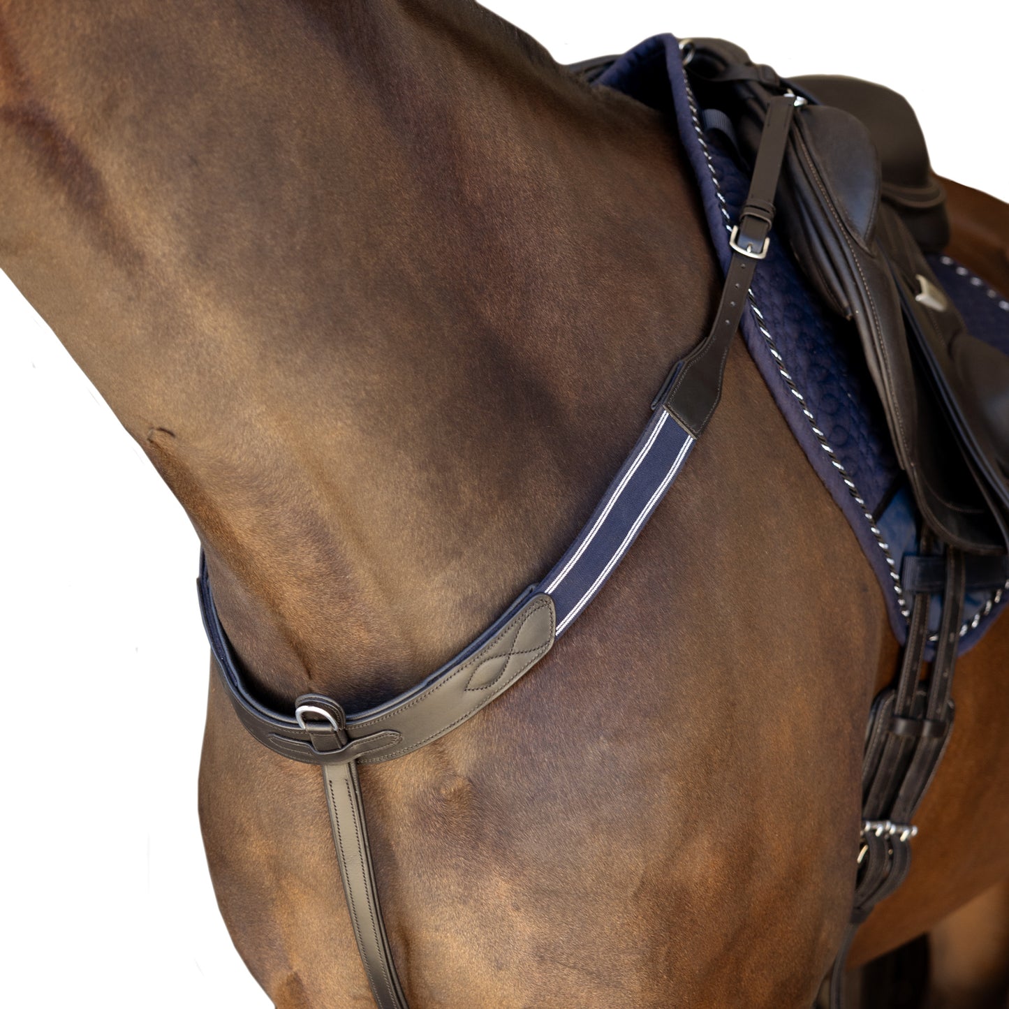 Breastplate - Customizable Elastic