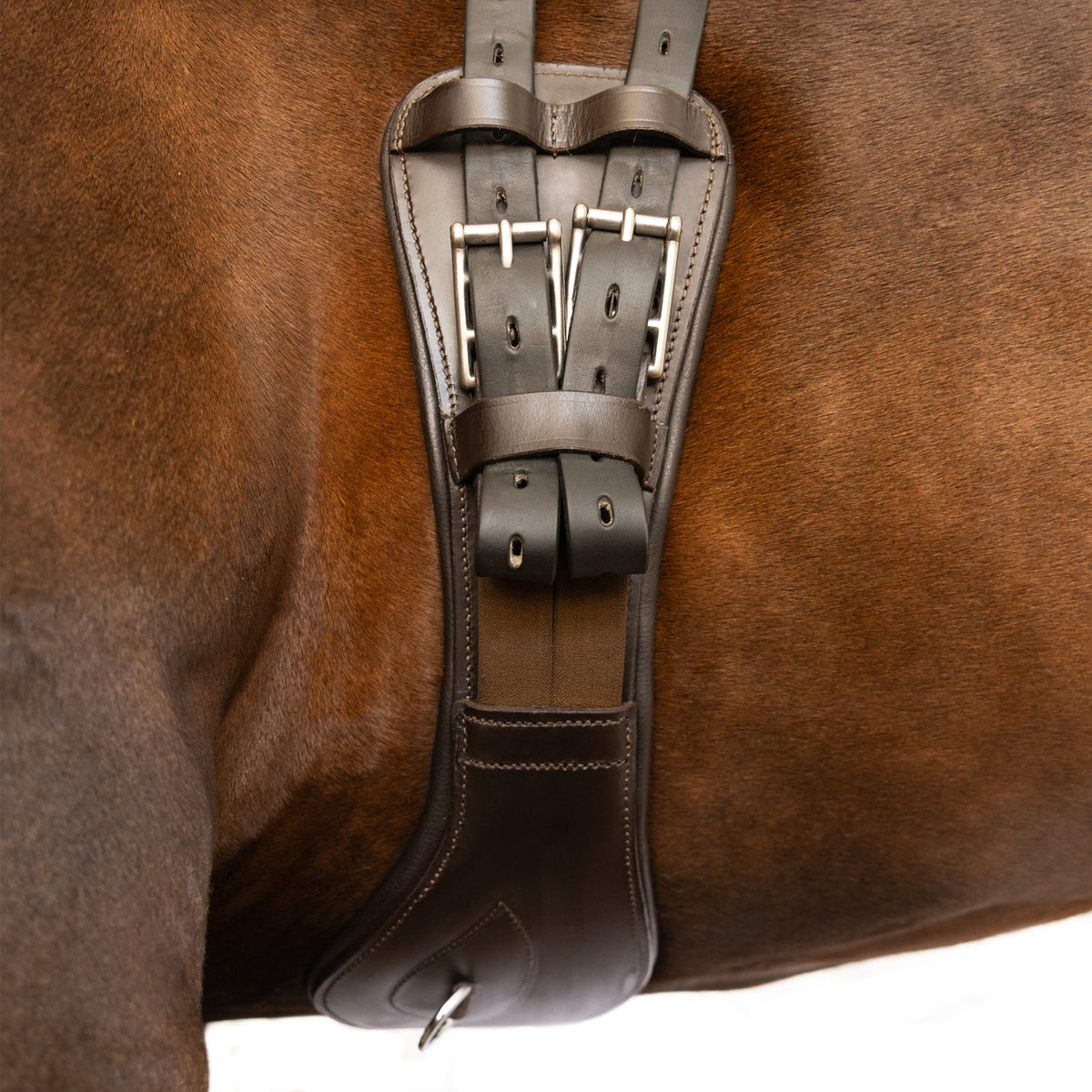 Girth 2 Girth - Dressage Crescent Shaped – Ava Equestrian