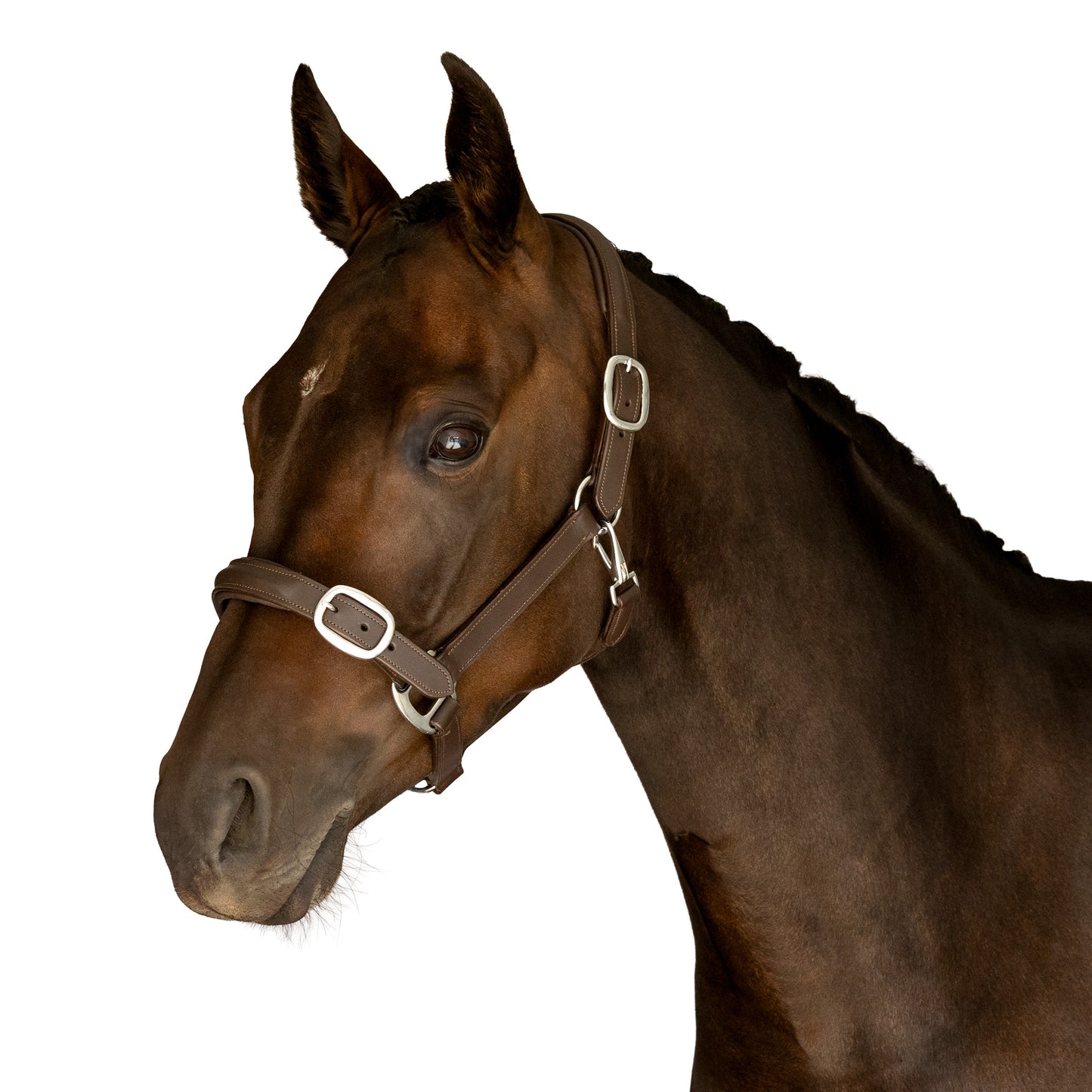 Halter - Raised Leather - Brown
